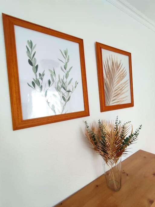 Cho Vivienda Con Piscina, Solarium, Vistas Teide 아파트 외부 사진